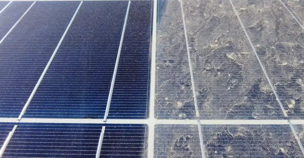 clean solar panels